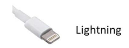 Apple Lightning Apple Lightning